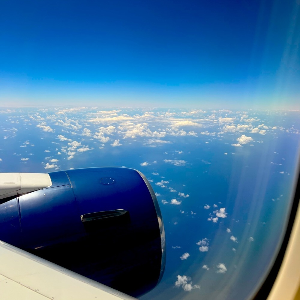 Meet your Posher, Emmie